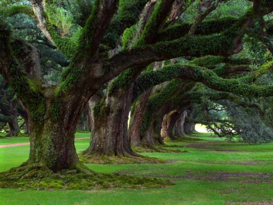 The worldâs most beautiful destinations The worldâs most beautiful destinations