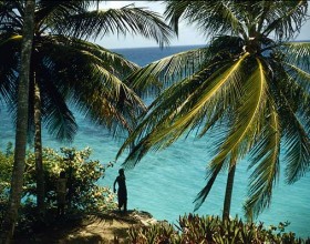 Jamaica's Tourism Up 3.7 Per Cent