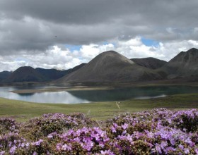 Tibet Tourism Stocks Rise Most in Shanghai on Report