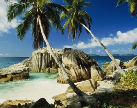 Seychelles appoints tourism dignitaries