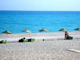 Dalyan'da bulunan mavi yengeçler turistlerin ilgisini çekiyor