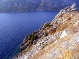 sevilay tanyildiz otopsi
