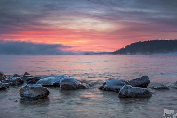 "Yılın Sergisi" Moskova'da açıldı 3 rusya-moskova-sergi