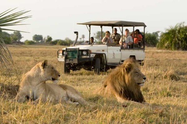 Afrika Safari