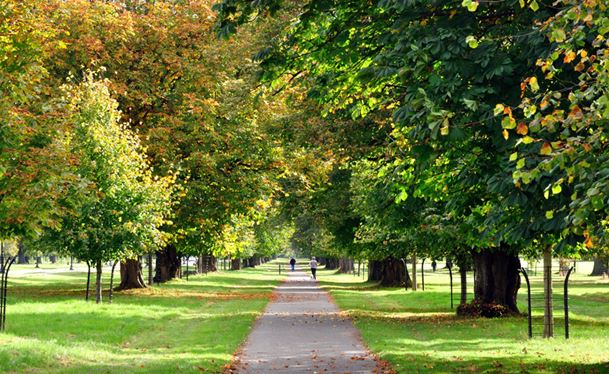 Yaşanacak en iyi başkent, kuzeyin mutlu kenti Dublin 3 Phoenix Park Dublin