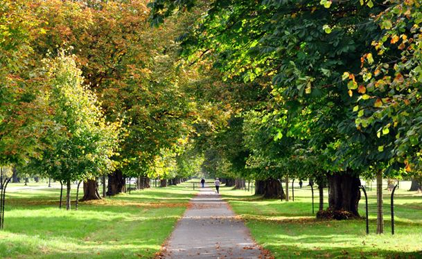 Phoenix Park Dublin