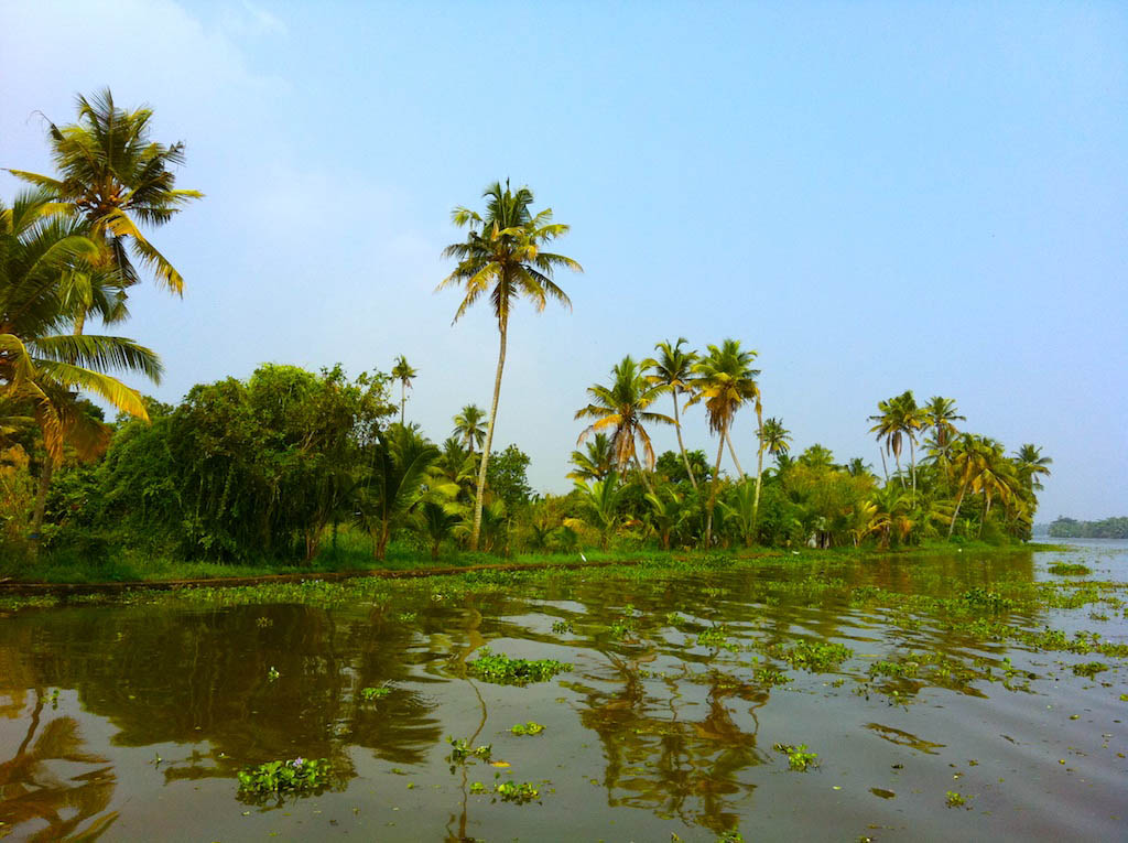 Kerala Hindistan