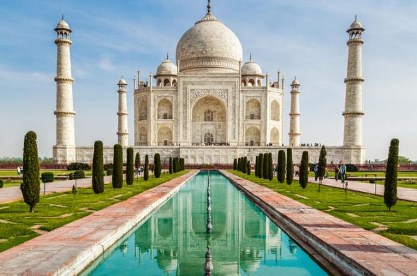 Hindistan'da Deniz Kaplumbağalarının Üreme Dönemi 11 Agra Hindistan