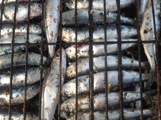 Gurme Turlarının Yeni Adresi Yunanistan Halkidiki 5 Balıkçılık Bayramı