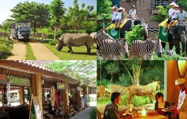 Yaz Tatilinde Aktivitesi Bol Alternatif Tatil Önerileri 6 Bali Safari Marine Park