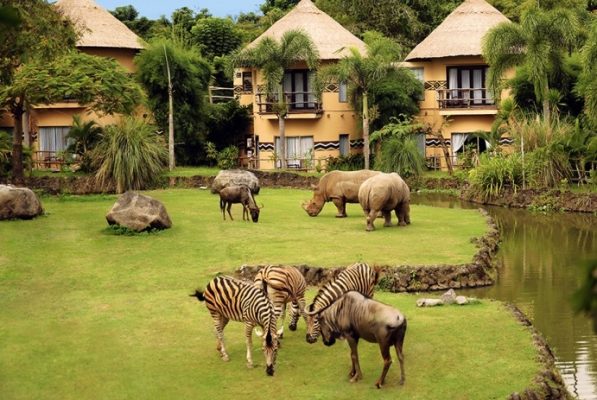 Bali Adası Balayı Turları Çiftlerin İlgi Odağı 7 Bali Safari Marine Park