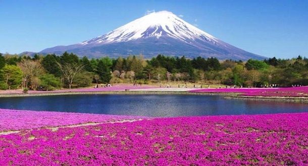Japonya Fuji Dağı