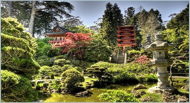 Saihō ji Tapınağı Yosun Bahçesi 1