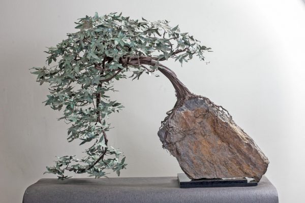 japanese bonsai 2