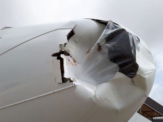 British Airways'in yolcu uçağına havada kaz çarptı