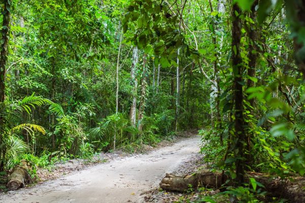 Pemba yesil ada