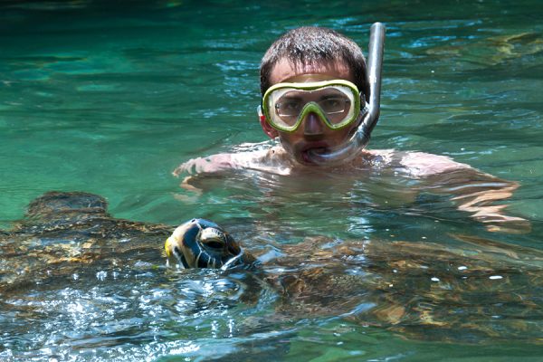 Mnarani turtles zanzibar