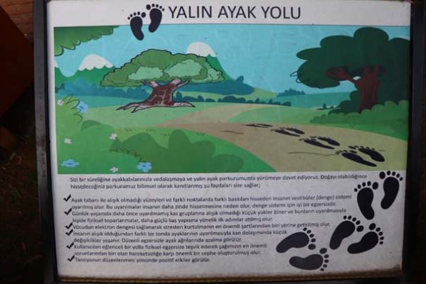 Trabzon yalin ayak yolu