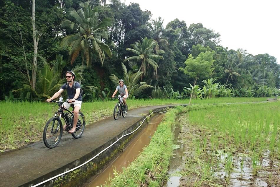 Ubud'da pirinç tarlaları arasında bisiklet turu yapın