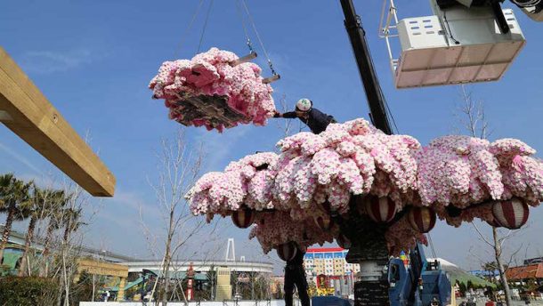 Çekya'da LEGO'dan yapılan Sakura Ağacı Guinness'e girdi!