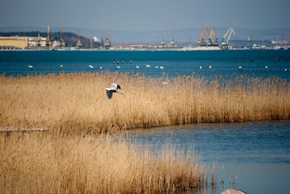 Burgas Poda Koruma alanı 