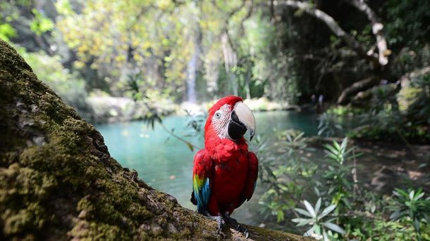 Antalya'nın saklı cenneti Kurşunlu Şelalesi turistleri büyülüyor!