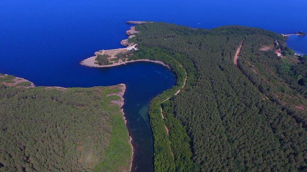 Cazibe merkezine dönüşen Türkiye'nin tabiat parklarına ziyaretçi yağdı!