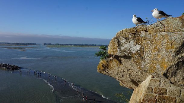 Mont Saint-Michel, her gün iki kez adaya dönüşüyor