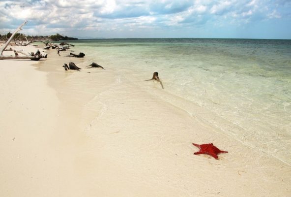Karayipler'in İncisi Küba'nın Birbirinden Güzel Plajları Cayo Jutias