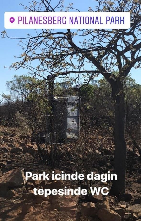 Pınar Altun ve Yağmur Atacan Afrika tatilinde safari yaptı
