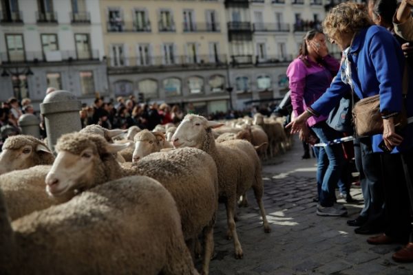 Antik İspanyol parasıyla geçiş ücreti ödedi!