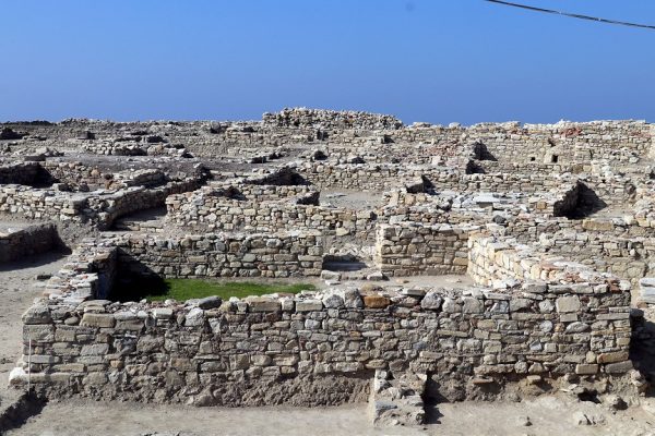 Kadıkalesi'nde pati izleri bulundu