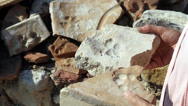 Kuşadası'ndaki Kadıkalesi'nde 8 asırlık pati izleri bulundu