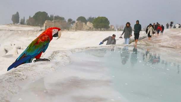 Bolu'da gündüz kayak, akşam kaplıca imkanı