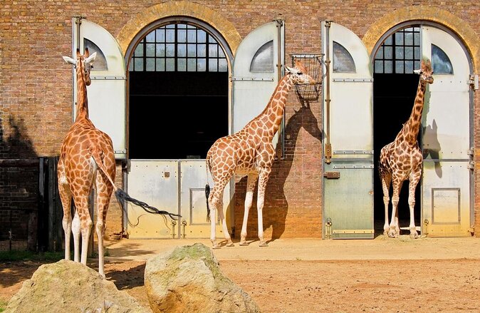 London Zoo, the National Maritime Museum and the Natural History Museum lead the way with three nominations each in this year's shortlist for the capital's top tourism awards, which was announced today.