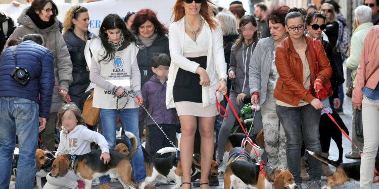 Latest Fashion news on Turkey and World Travel, Holidays, Tourism, Vacations to go global destinations hotels and all fashion information