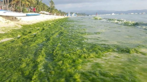 Philippines famous Boracay island to close for repairs