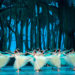 Cuba's National Ballet to perform in US capital 14 Cuba National Ballet to perform in US capital