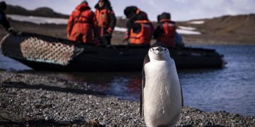 Turkish team arrives in Antarctica for polar research