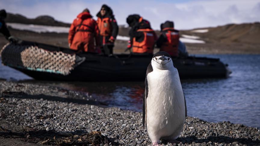 antartica turkish researches