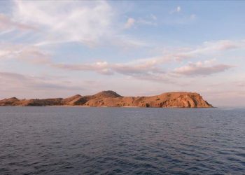 Komodo Island to be closed in 2020 10 Komodo Island to be closed in 2020