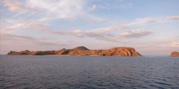 Komodo Island to be closed in 2020