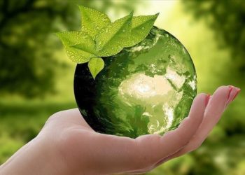 Covid-19 damages global renewable supply chain 10 Covid-19 damages global renewable supply chain