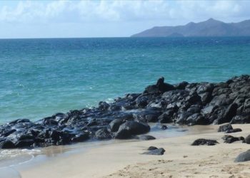 World looks to innovation for sustainable oceans