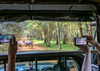 Wilpattu: Sri Lanka’s oldest national park