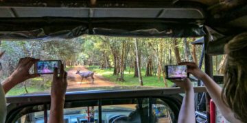 Wilpattu: Sri Lanka’s oldest national park