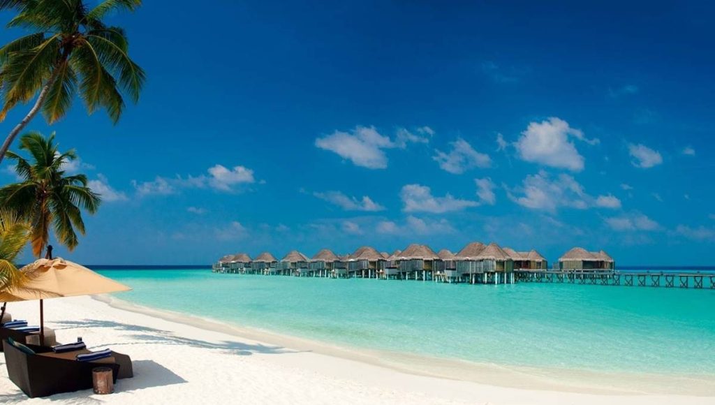 constance halaveli 1