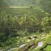 When is the best time to visit Bali? One of Indonesia’s most popular travel destinations, Bali attracts visitors throughout the year with its warm climate and diverse experiences.