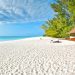 Zanzibar is more than a beach escape: a spice-scented Indian Ocean world of history, reefs and soul 16 Off the coast of Tanzania, Zanzibar unfolds as far more than a postcard destination of white sand and turquoise water.