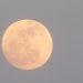 A full moon rising in a hazy evening sky